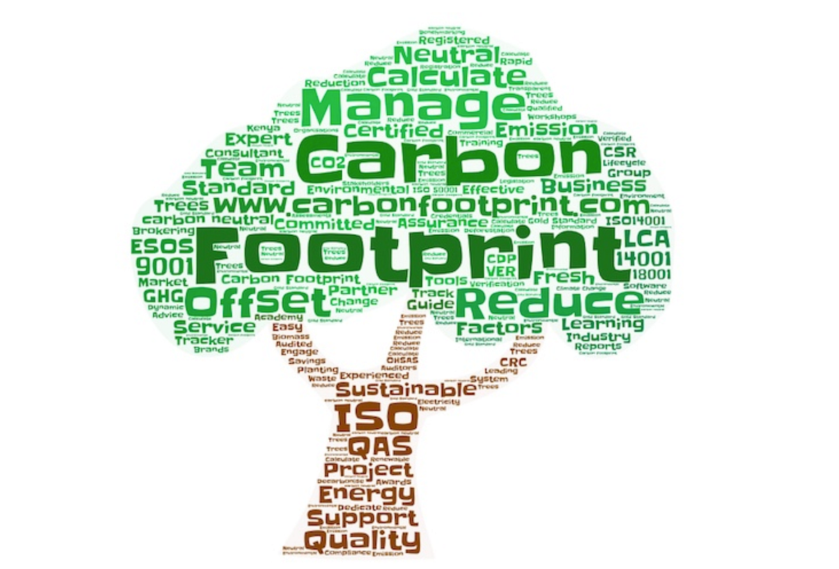 حساب البصمة الكربونية و إعداد التقارير